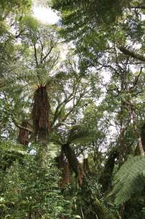 Parc national Amboro
